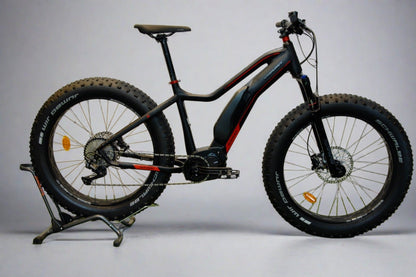 Nishiki EZX10 sähkö fatbike M